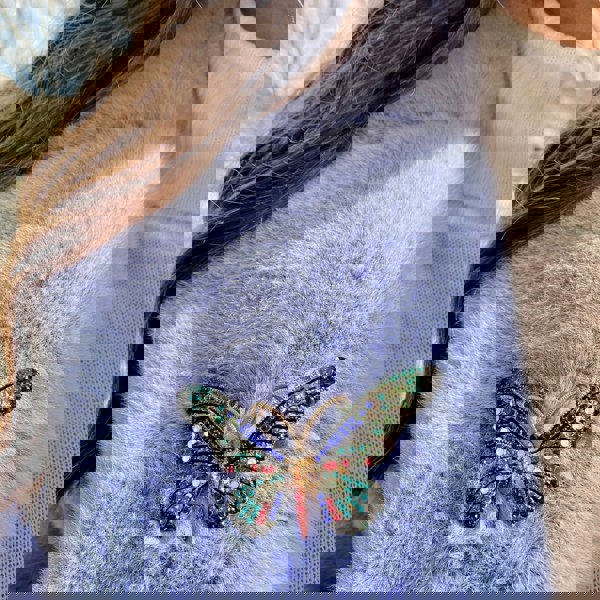 large butterfly brooch with crystal in blue green