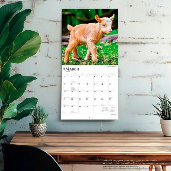 Baby Goats Calendar 2027, Wall Calendars, Month To View, Animals, Gift