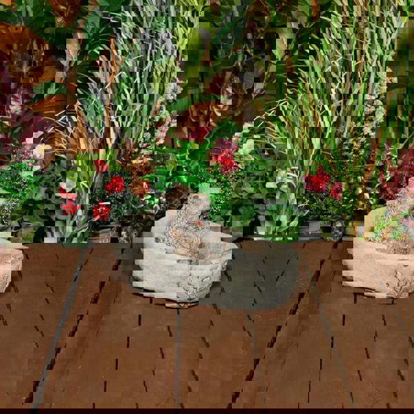 Adorable Stone Cast Bathing Hedgehog Garden Ornament