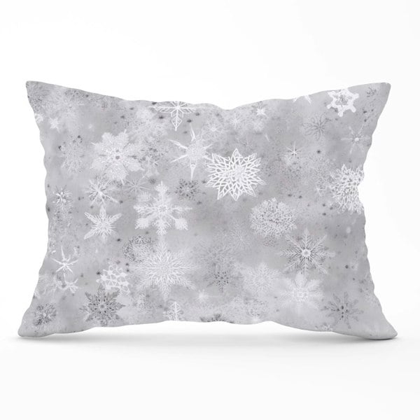 Warren Reed Slowflakes And Ice Cushions