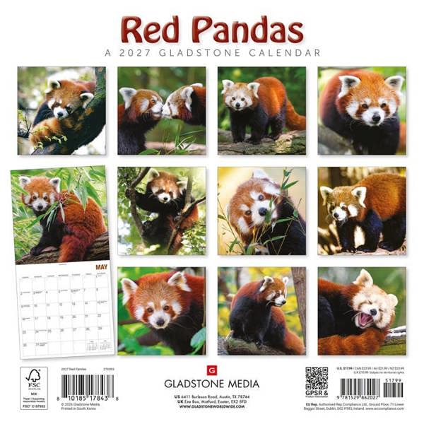 Unbranded Red Pandas Calendar 2027, Wall Calendars, Month To View, Animals, Gift