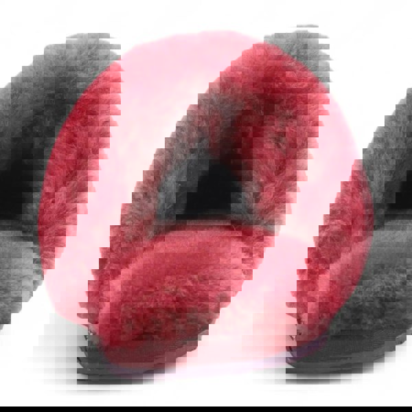 Infinity Leather Aurora - Women's Sheepskin Fluffy Slippers