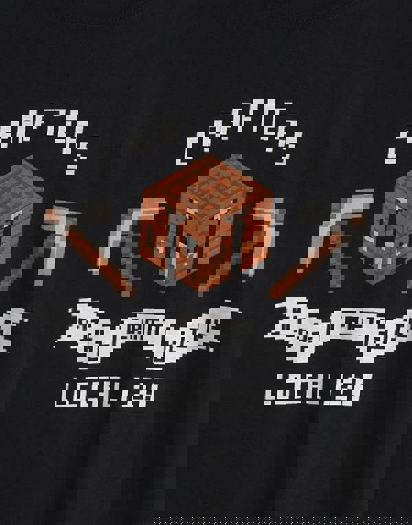 Minecraft Boys Black Short Sleeved T-Shirt