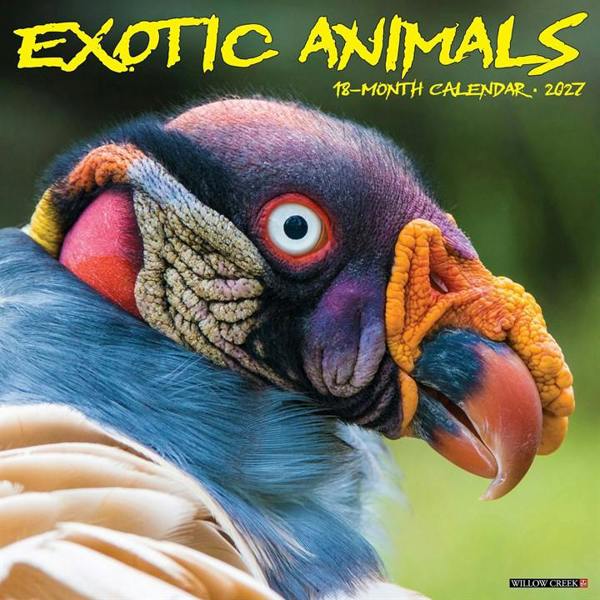 Exotic Animals Calendar 2027, Wall Calendars, Month To View, Animals, Gift