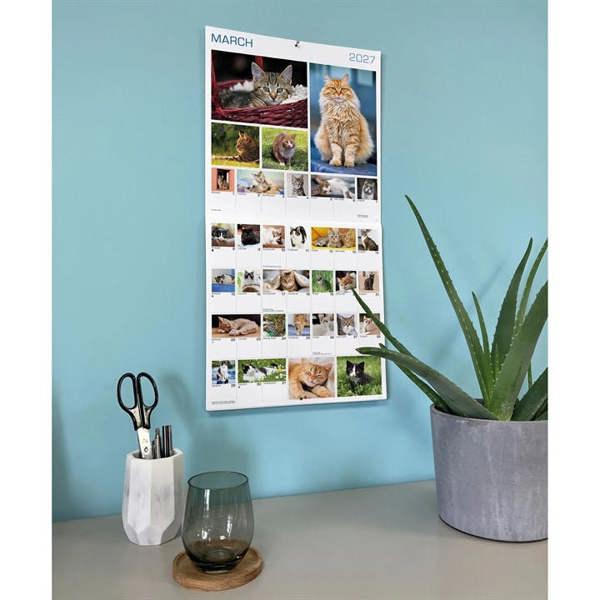 365 Days Of Cats Calendar 2027, Wall Calendars, Month To View, Cats, Gift