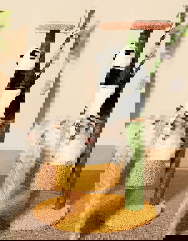 Derby Panda, Cat Tree, Cat Climber, Pet Furniture-Weilai concept-Weilai Concept