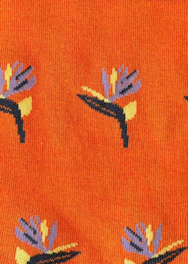 Jemsox The Weekly Rebel – 7 Pack Unisex Novelty Socks – Different Design for Every Day – UK 3.5-6.5