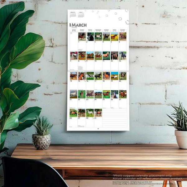 365 Days Of Horses Calendar 2027, Wall Calendars, Month To View, Animals, Gift
