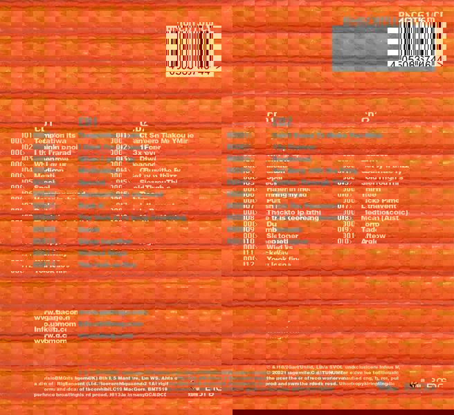 Garbage 'Version 2.0' (Remastered & Expanded) 2CD Digipack