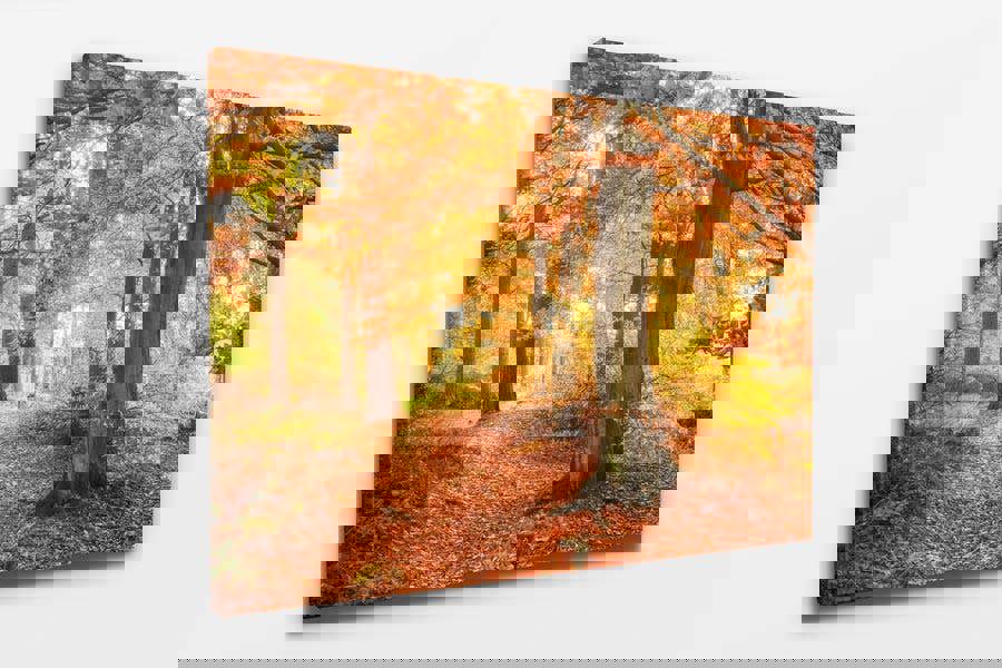 canvas wall art of autumn woodland landscape