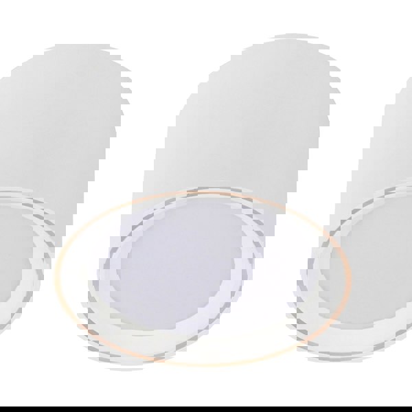 Nordlux Fallon | Surface downlight | White/White