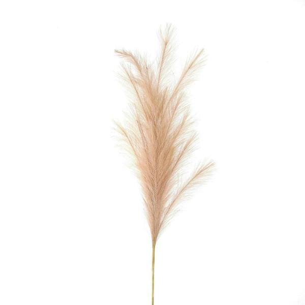 Wyld Haus Set of 3 Large Faux Pampas Grass Stems