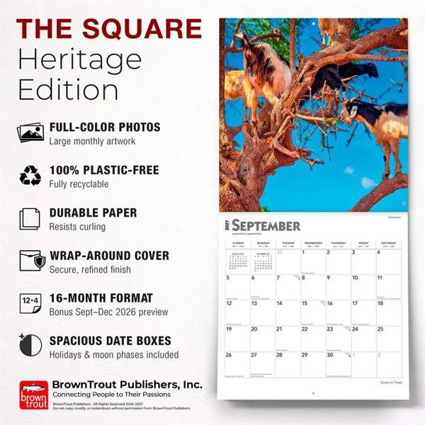 Goats In Trees Calendar 2027, Wall Calendars, Month To View, Animals, Gift