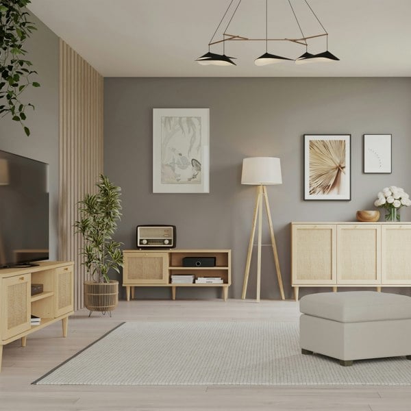 Furniture To Go Calasetta 1 Door TV Unit in Rattan