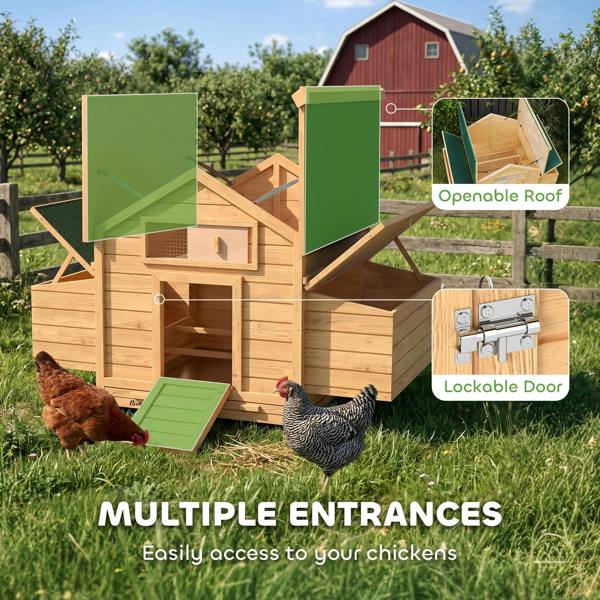 Chicken Coop