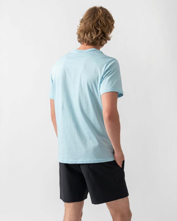 back shot of a  model wearing an Emporio Armani Mens Beach T-Shirt with Eagle Logo in Sky