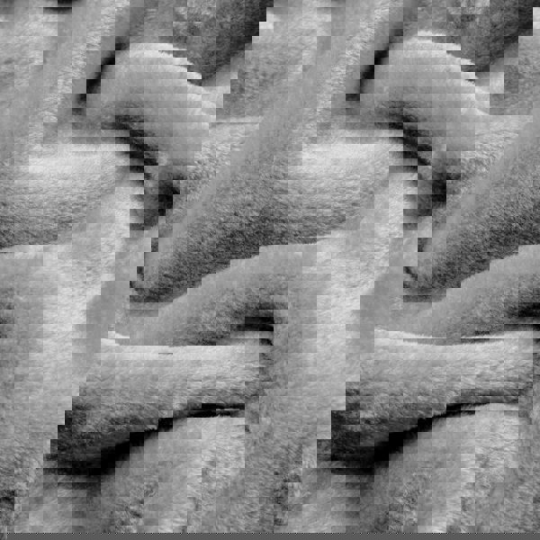 Snug City Soft & Warm Mink Throw Blanket