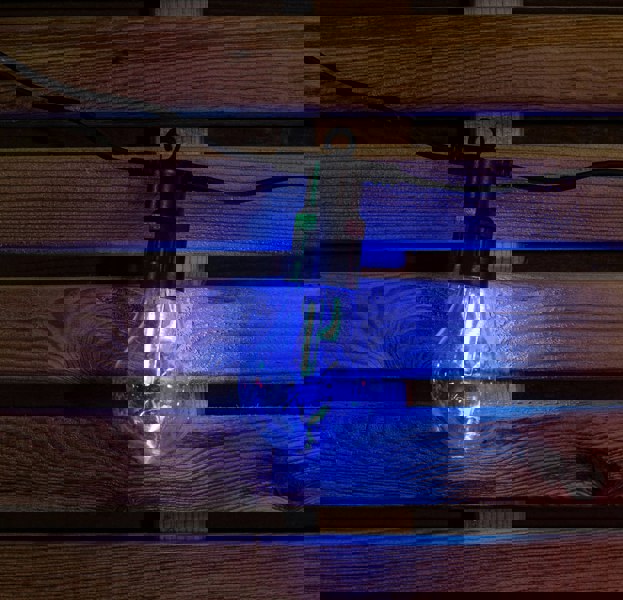 Samuel Alexander Set of 20 Indoor Outdoor Connectable Festoon Lights with Multi-Coloured LEDs