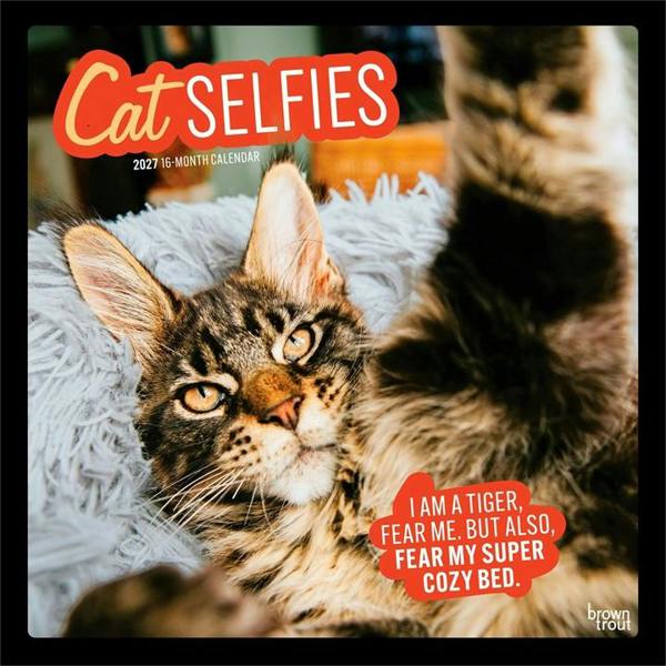 Cat Selfies Calendar 2027, Wall Calendars, Month To View, Humour, Gift