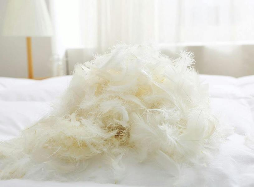 13.5 Tog Double Duck Feather & Down Duvet Cotton Cover - Dz 0407 (Ctn Size 4)