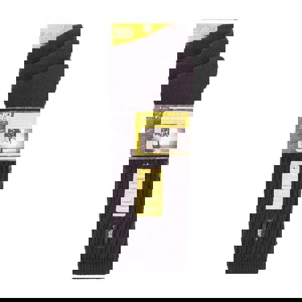 t4option1_1