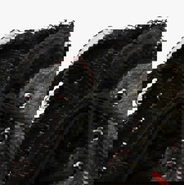 Rieker Y0703-90 Womens Boots - Multi