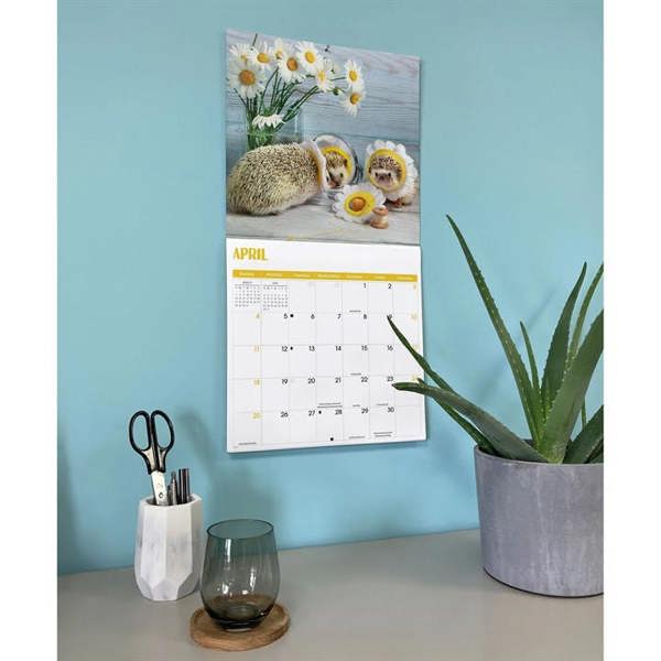 Hedgehogs! Calendar 2027, Wall Calendars, Month To View, Animals, Gift