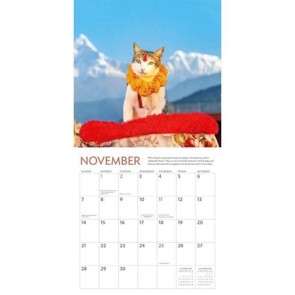 Cats of the World Calendar 2027, Wall Calendars, Month To View, Cats, Gift
