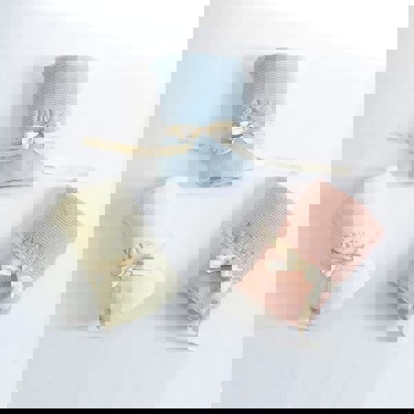 The Baby Gifting Company BLANKET AND SENSORY BALLS GIFT SET