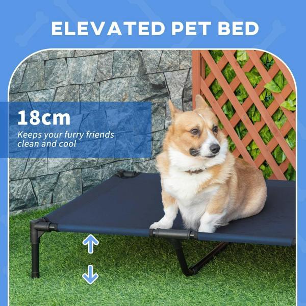 Blue elevated pet bed with black frame legs and raised sleeping platform