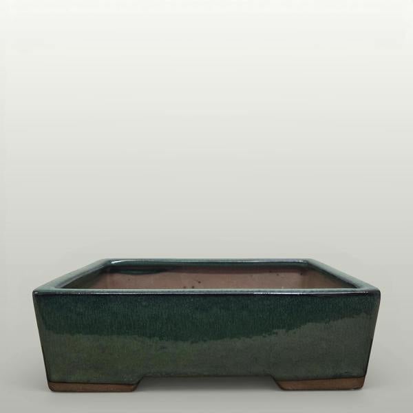 22cm Glazed Bonsai Pot | Rectangle | 22cm x 17cm x 7cm | Dark Green - Yorkshire Bonsai standardised image 20260605-135504