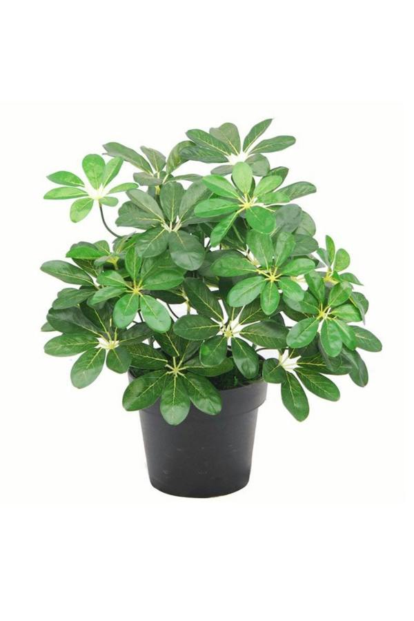 Dyzi Artificial Dwarf Umbrella Plant Potted Indoor Home Décor