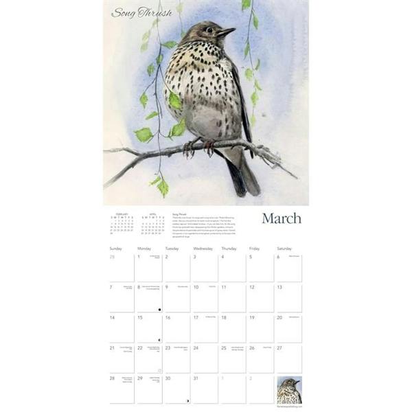 Chris Pendleton's Garden Birds Calendar 2027, Wall Calendars, Month To View, Art, Gift