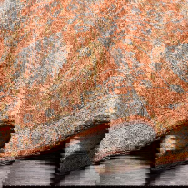 Livabliss Avant Garde-Vintage Beige Blue Brown Traditional Boho Fringe Rug