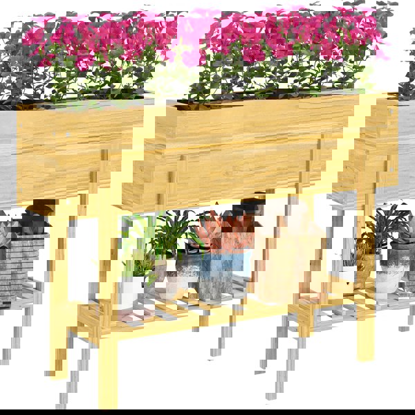 Raised Planter