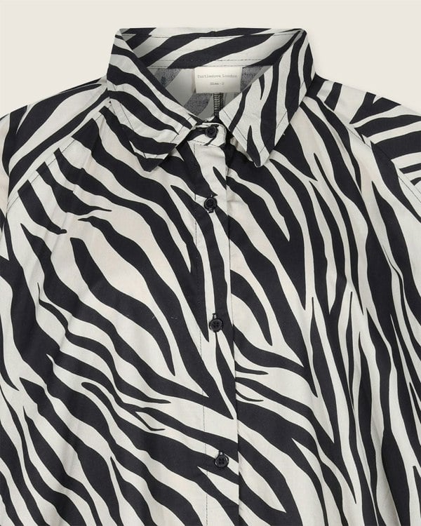 Jess Multicolour Zebra Streak Midi Shirt Dress- image 4