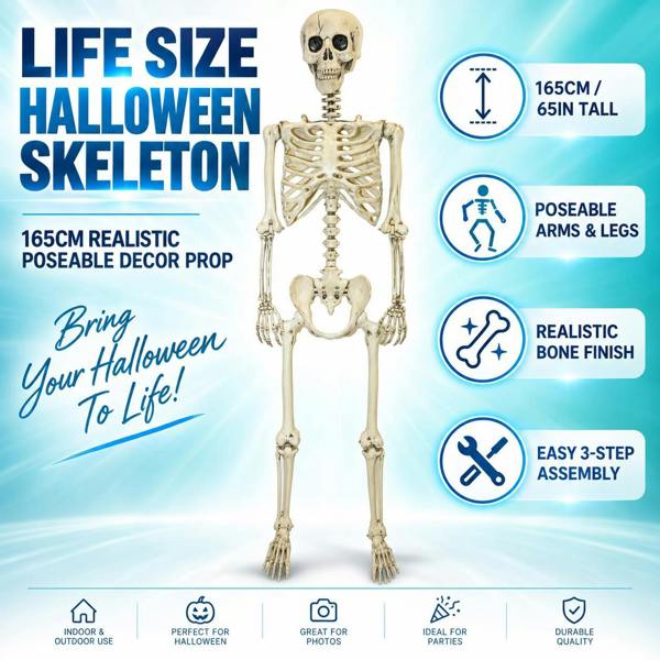 Halloween Life Size Poseable Skeleton Prop 165cm - Realistic Human Skeleton Decoration image 7