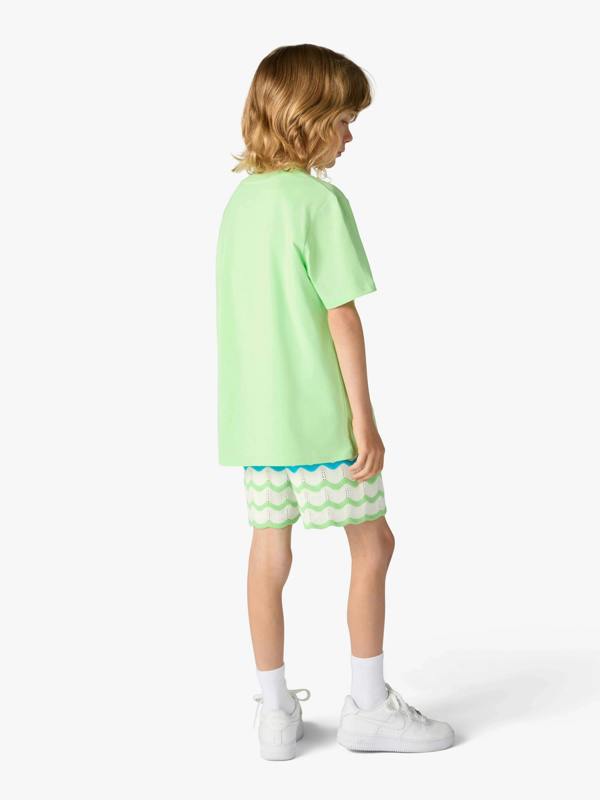 CBCA6017_GREEN_3