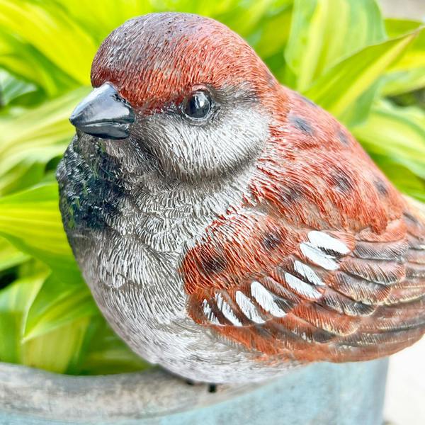 Farmwood Large Sparrow Bird Garden Ornament