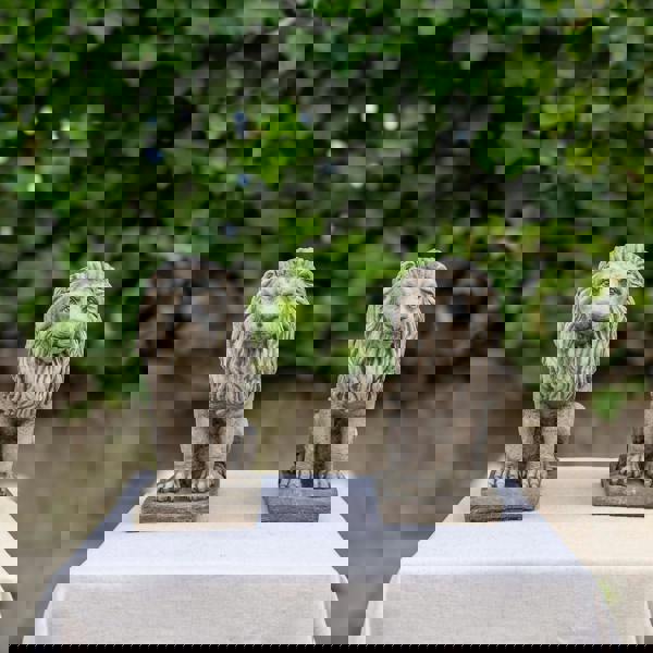 Pair of Small Bavarian Lion Garden sculptures