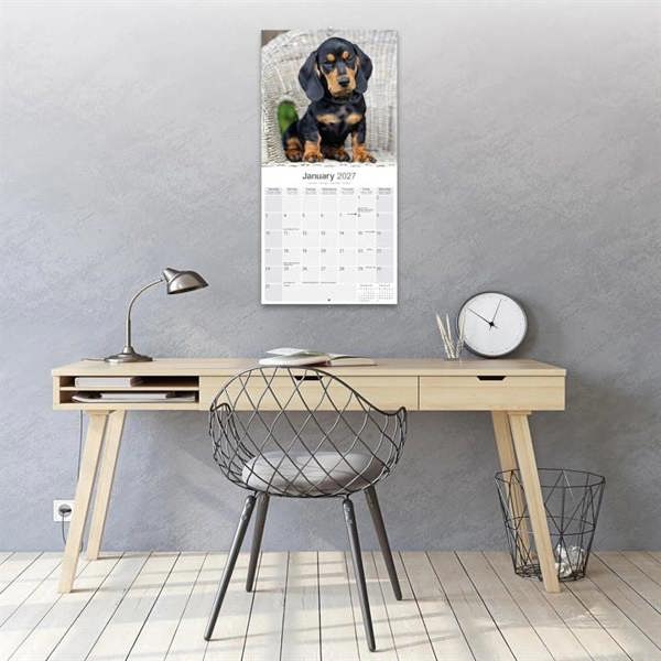 Dachshund Calendar 2027, Wall Calendars, Month To View, Dogs, Gift