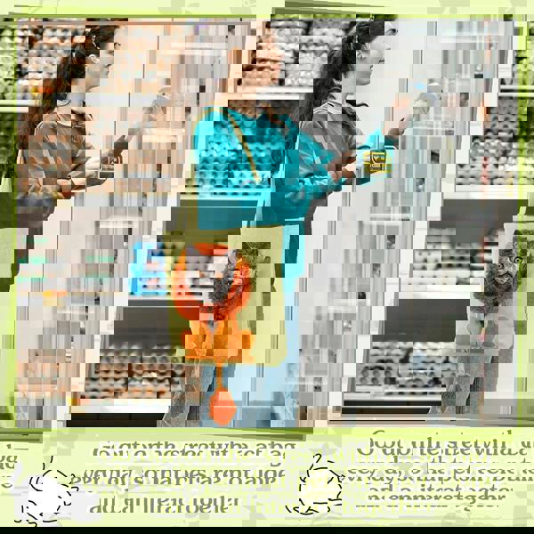 Anywags Anypet Cat Handbag 40cm Light Gray 3D Lion Soft Collar Pets Carrier Luggage Small Dog Travel Tote Bag With Pet Canvas