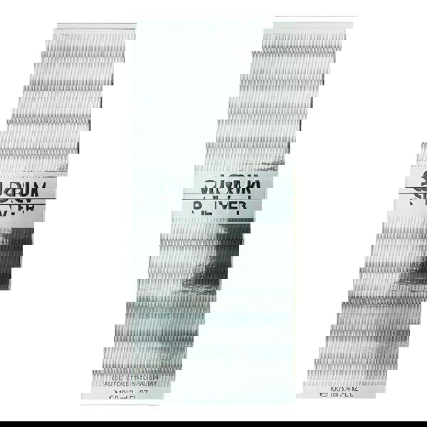 Puig Quorum Silver Eau de Toilette 100ml for Him