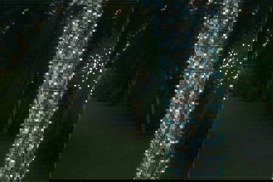 Eagle Connect Led String Lights Black Rubber Cool White 15M