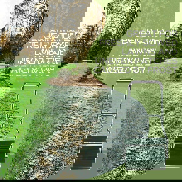 Lawn Roller
