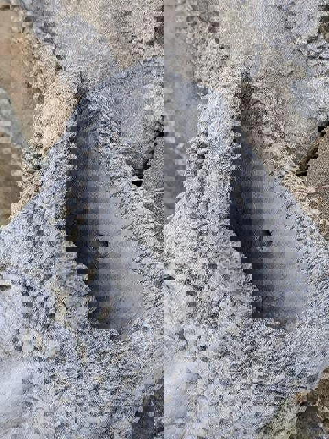 Large Old Man Planter Wall Plaque