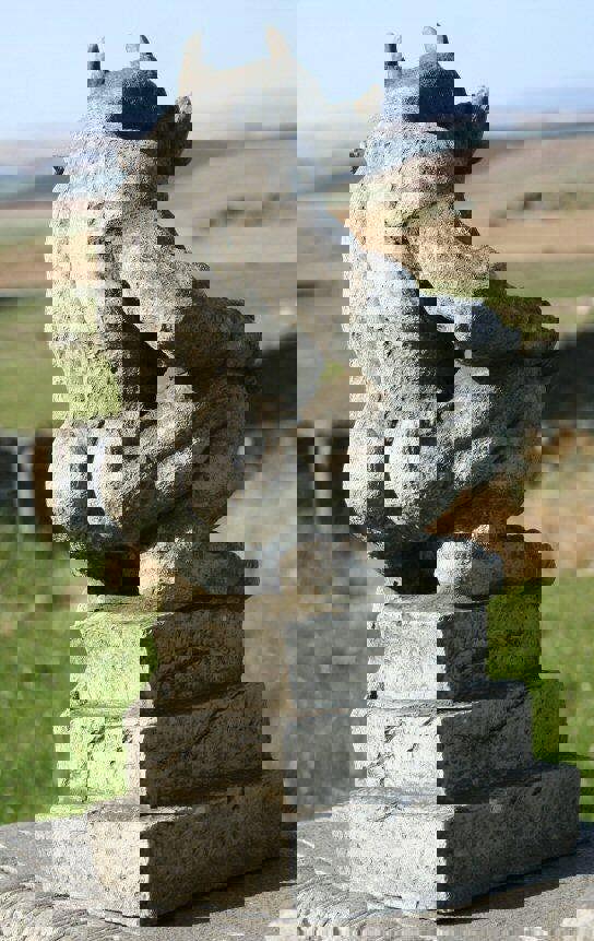 Guardian Gargoyle and Devil Ornaments