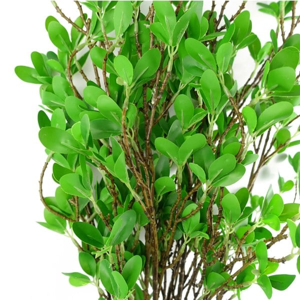 Leaf Pack of 6 x 100cm Mini Leaf Ficus Stem