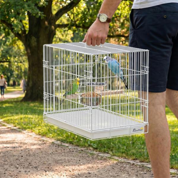 Bird Cage