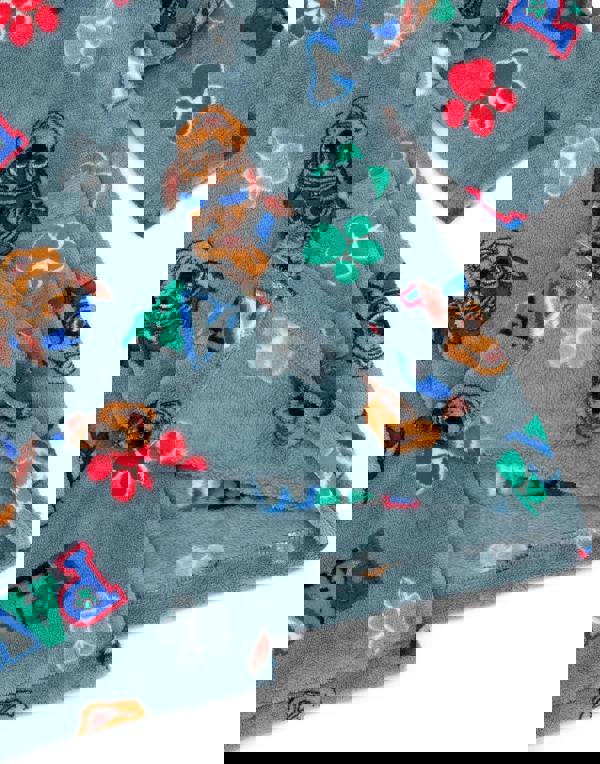 Paw Patrol Boys Blue Hooded Bathrobe